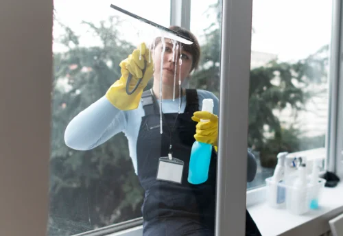 Nettoyage de vitres intérieures et extérieures à Luxey